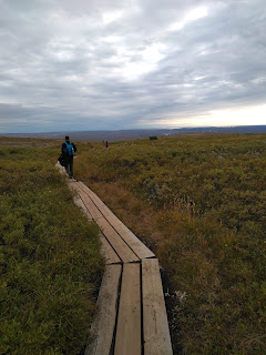 Día 05:De Vik a Djúpivogur. Glacier Walk Vatnajökull,Jökulsárlón y Diamond Beach - Islandia - 12 dias por libre (20)