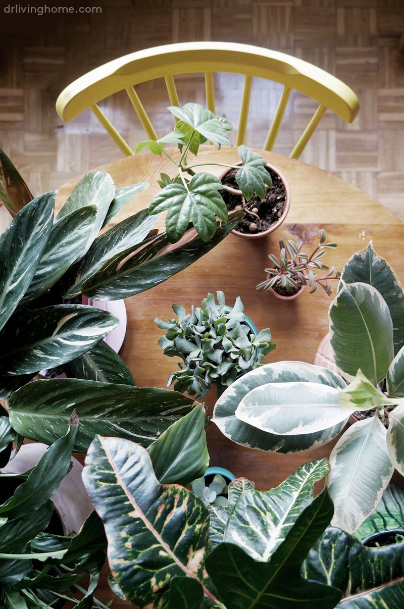 Mejores post diy decoración