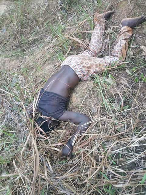 Graphic Photos: Fulani herdsmen reportedly invade Ebonyi Community, kill scores including a child