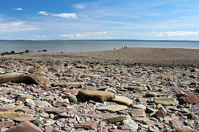 Bay of Fundy Rocky bed