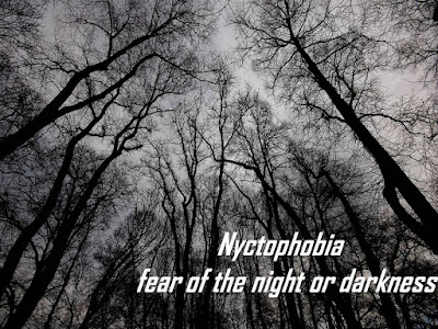  Nyctophobia, fear of night darkness