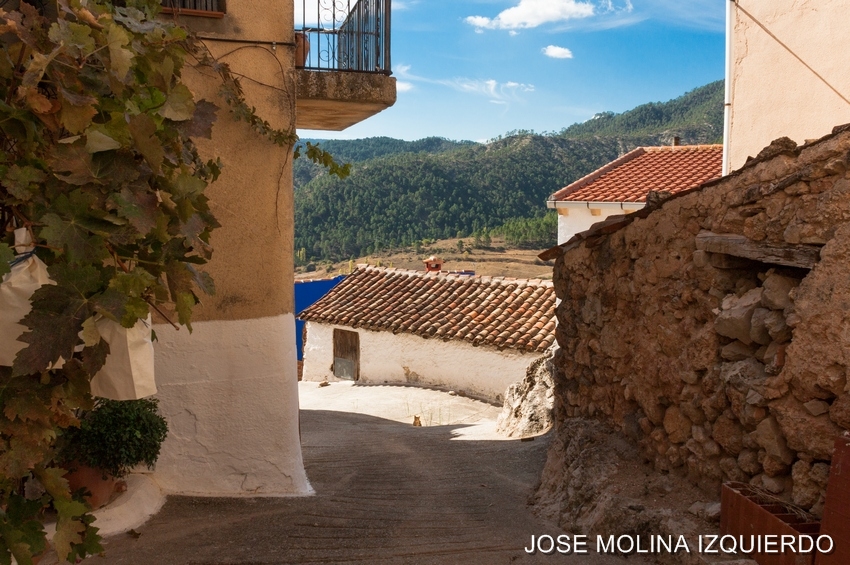 Foto de La Cañada en Alborea, Albacete