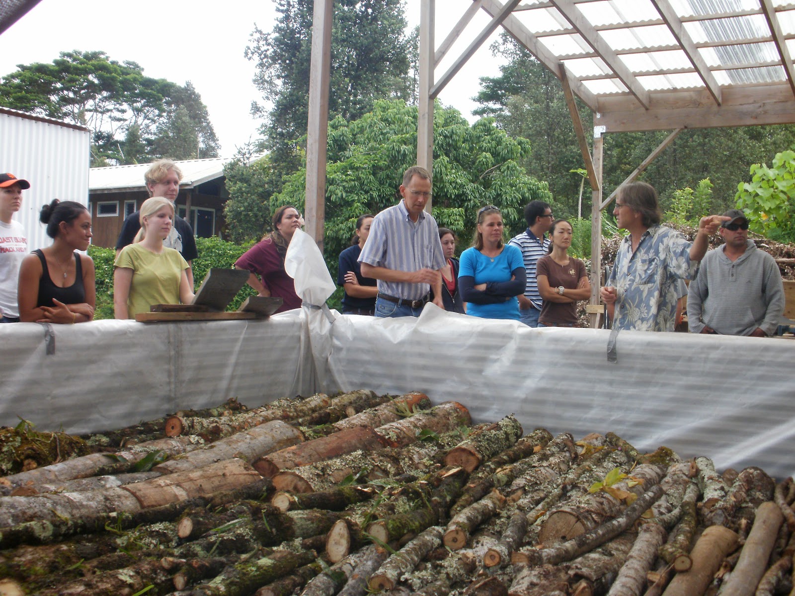 hubbell-s-hog-heaven-time-to-catch-up-part-1-the-piggery