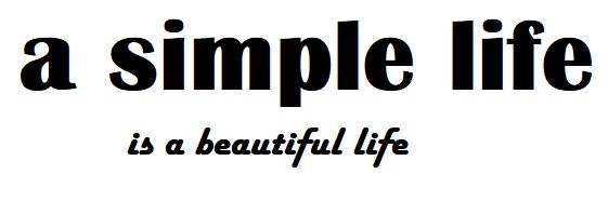 Life simple iqm960