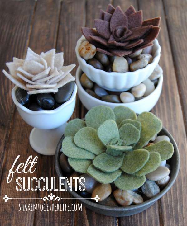 http://www.shakentogetherlife.com/2014/02/how-to-make-felt-succulents.html