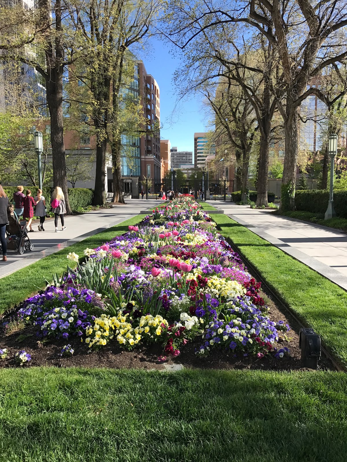 Walking Arizona Spring Flowers on Temple Square in Salt Lake City, Utah