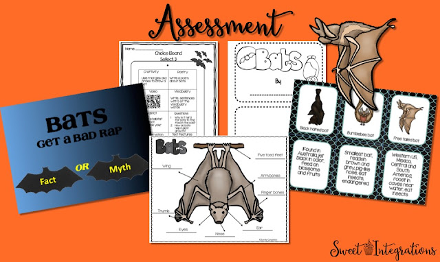 Students can learn about bats as they read fiction and nonfiction text. I've provided lots of activities in this post.