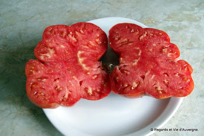 grosse tomate Beefsteak  895 grammes