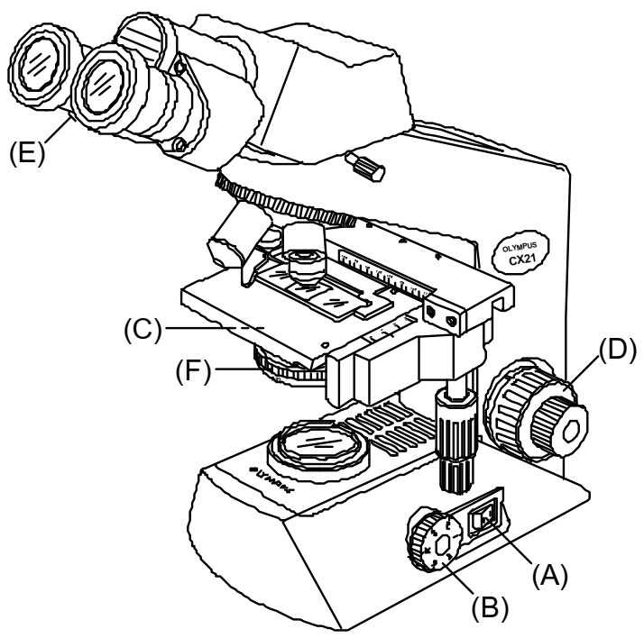 Medical equipment repair Labomed Vision 2000 and Olympus CX21