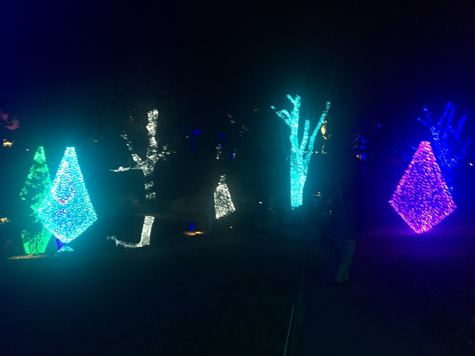 Christmas Lights in Nashville Nashville Wife