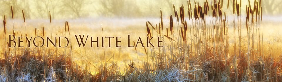 Beyond White Lake