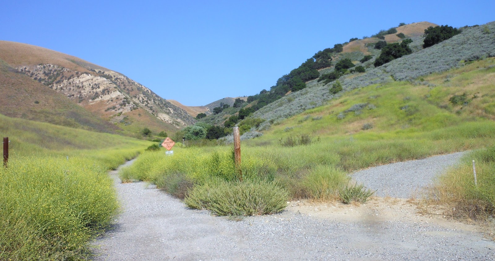 1000 Hikes in 1000 Days Day 556 Bark Park New Millennium Loop Trail