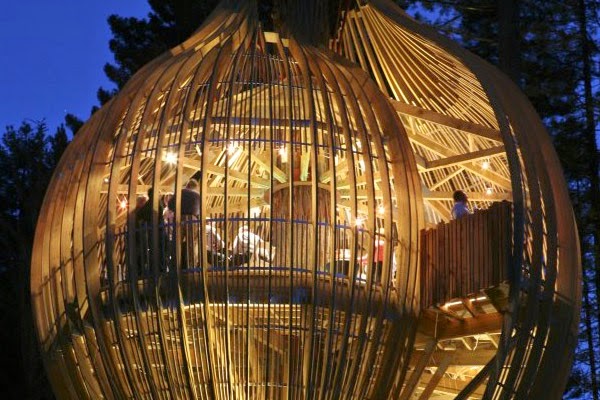 Кафе на дереве Кафе на дереве