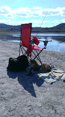 folding chair by water with fishing pole and dog