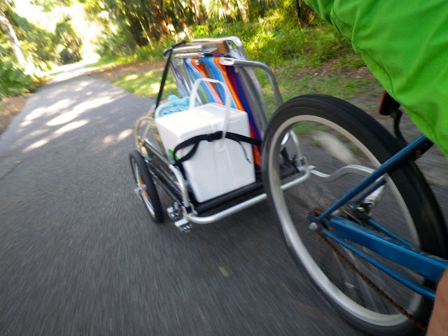 robonza: Review: Burley Flatbed Trailer