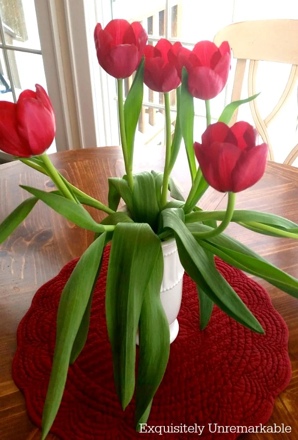 Revived Red Tulips