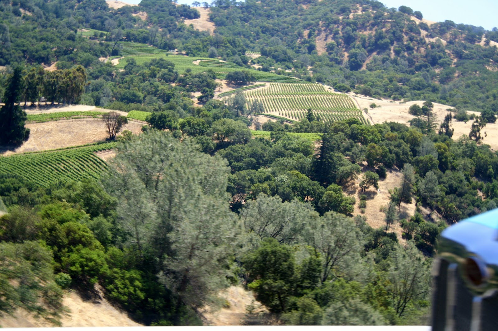 Joe, Diane, & Mallery's Big Adventure Modern Day Gypsies Sleepy Hollow RV Park, Willits, CA.