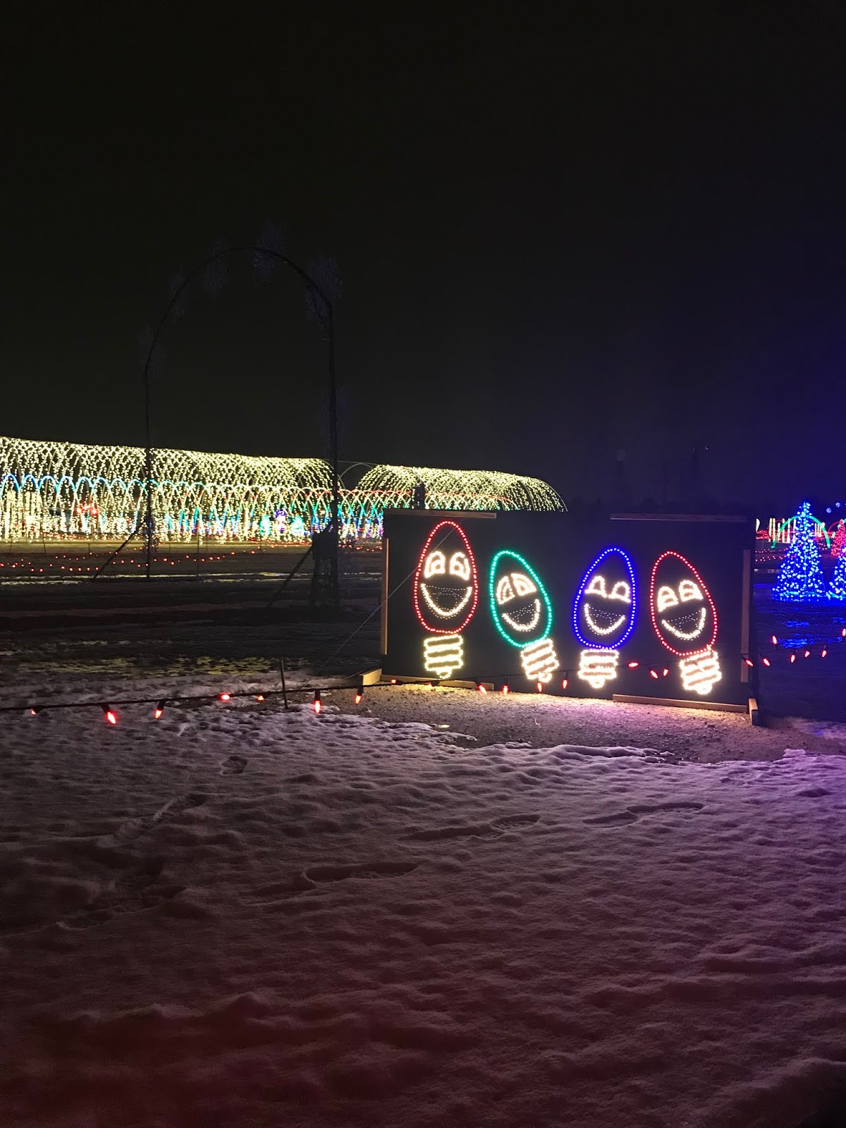 Christmas Lights in Utah Boulevard