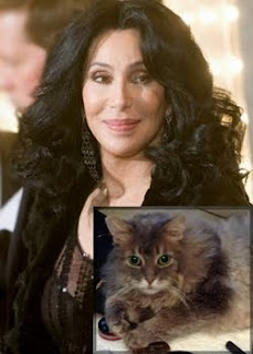 Cher, and her cat Mr Big