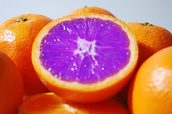 98 Best Purple, Green & Orange images | Orange and purple, Green ...