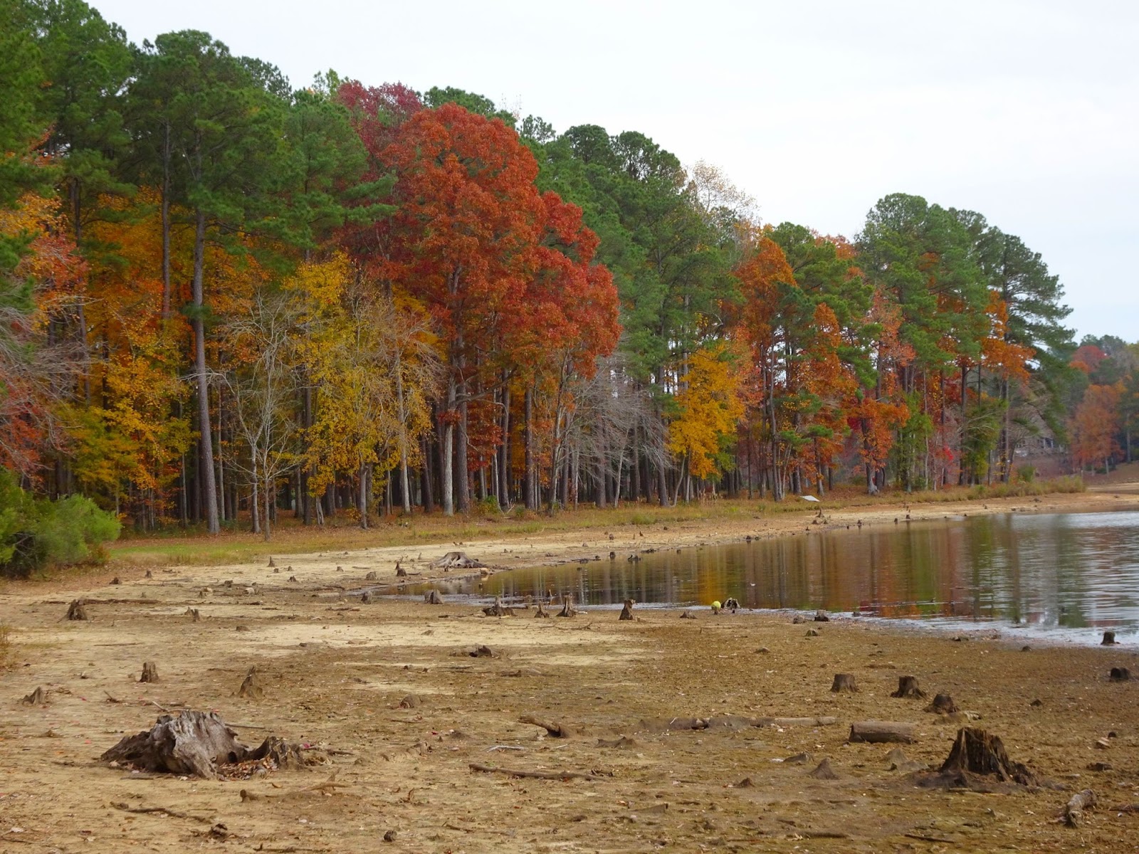 Femme au foyer En route to the Outer Banks Lake Benson