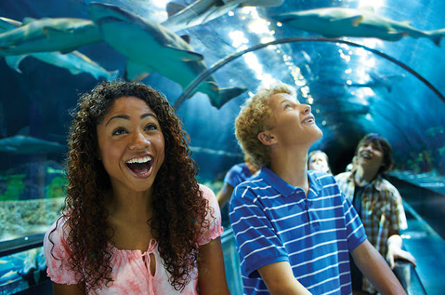Sobre o parque SeaWorld em San Diego Sobre o parque SeaWorld em San Diego