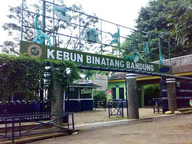kebun binatang bandung tempat wisata di bandung