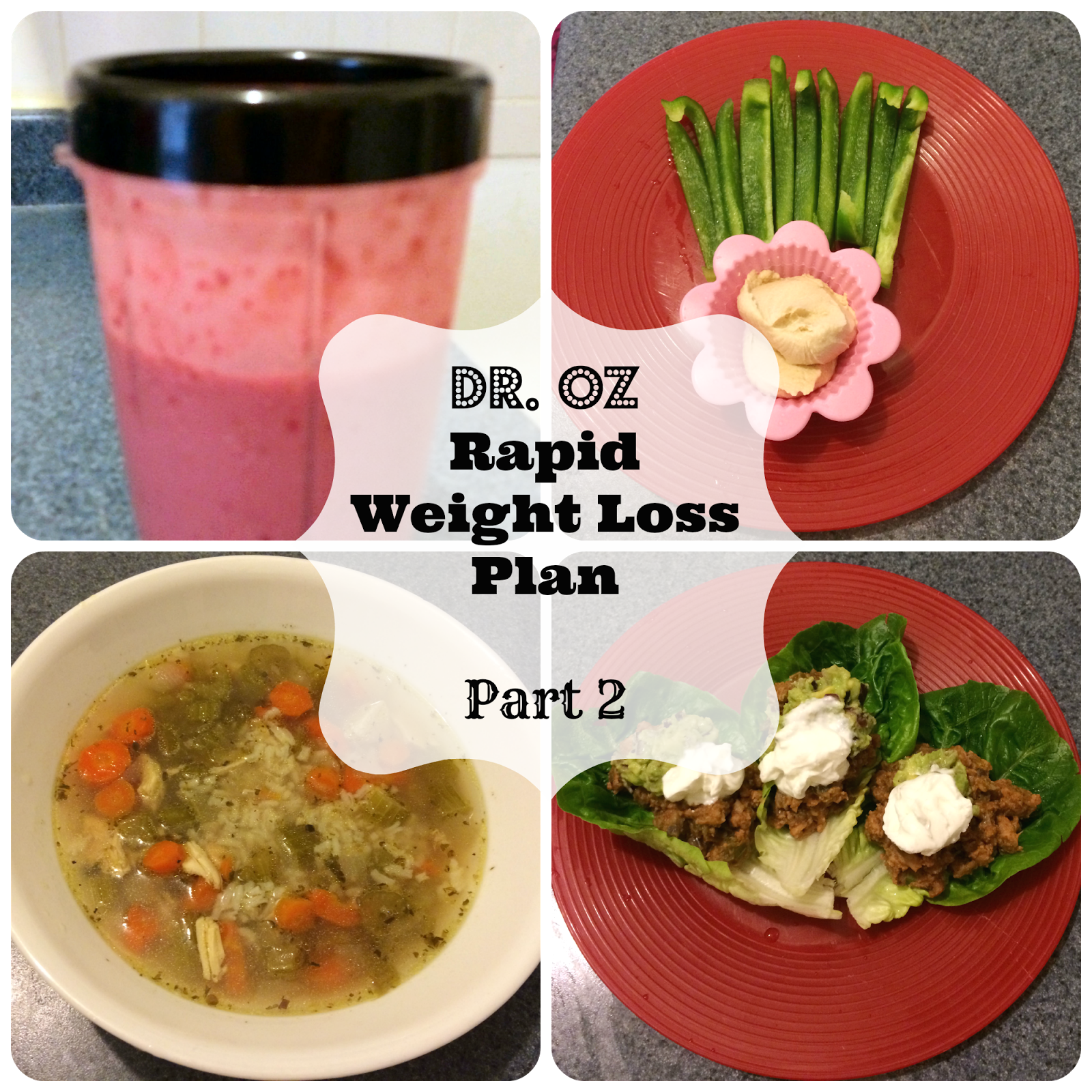Dr Oz Two Week Rapid Weight Loss Diet Recipes Diet Poin