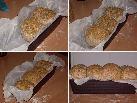 pan de molde integral con semillas de lino y de girasol pan de molde integral con semillas de lino y de girasol
