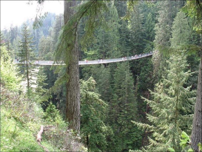 ellergy THE AMAZING CAPILANO SUSPENSION BRIDGE