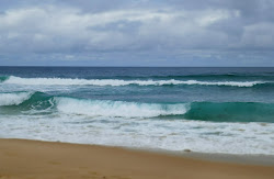 Surfing on Maroubra Beach 19.01.20