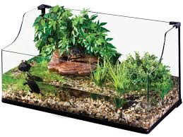 Aquarium Khusus Kura-Kura