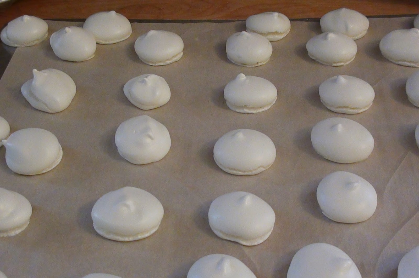 zsuzsa is in the kitchen FOAM KISSES HABCSÓK