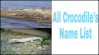 All crocodile scientific name list