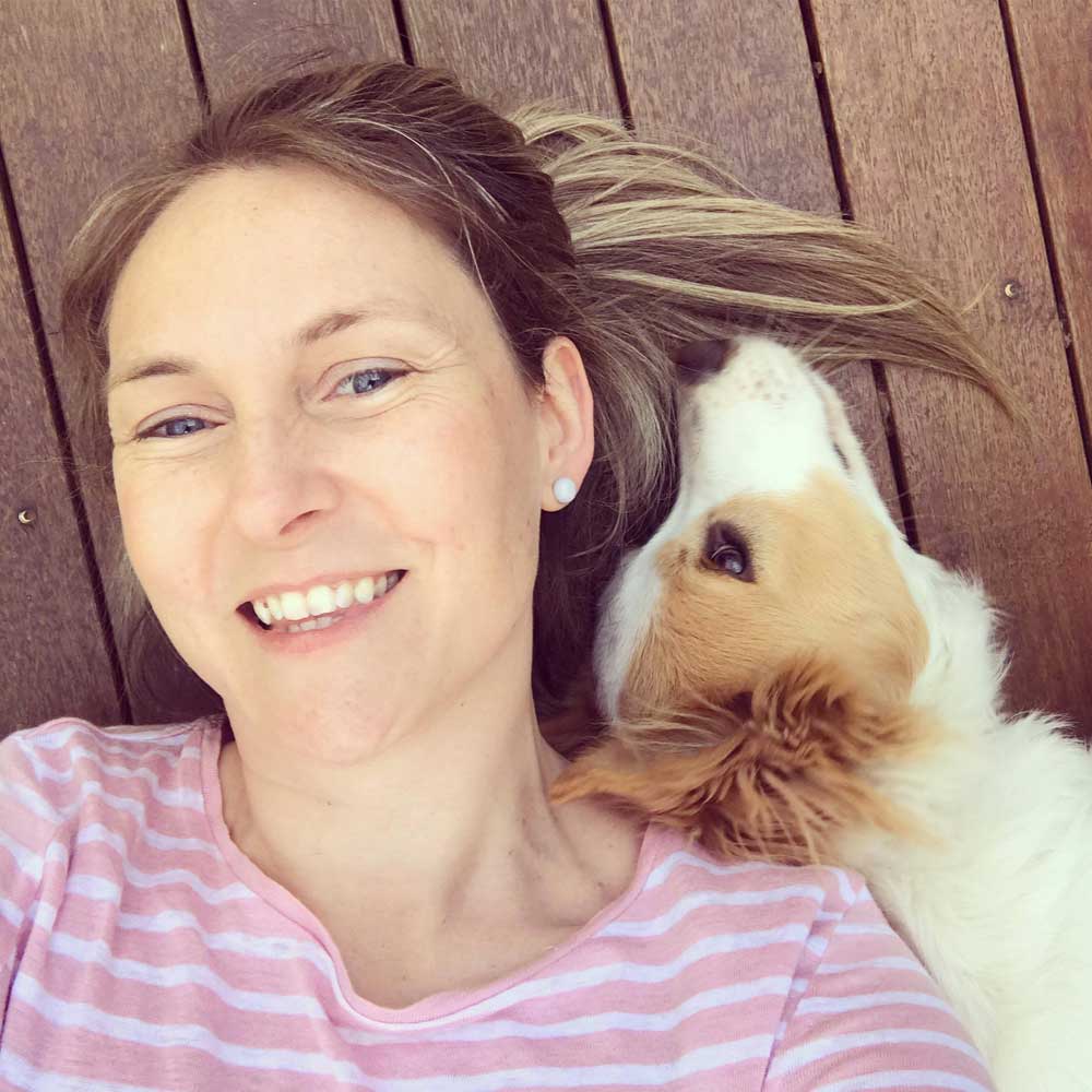 How to Make the World Better for Cats