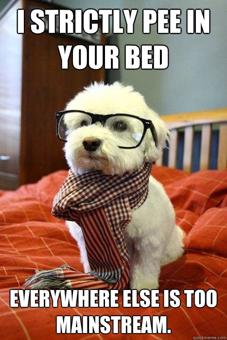 I pee in your bed because everywhere else is too mainstream - hipster dog