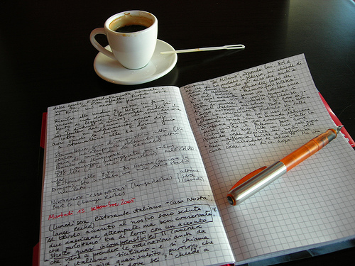 Essay diary