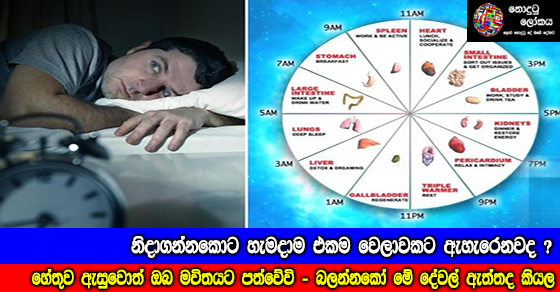 Share