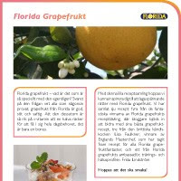 grapefrukt - Tips inför Grapefruktens Dag