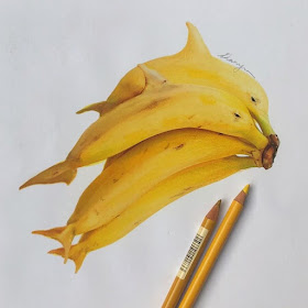 05-Banana-Dolphins-Guanyu-Animal-Mashup-www-designstack-co