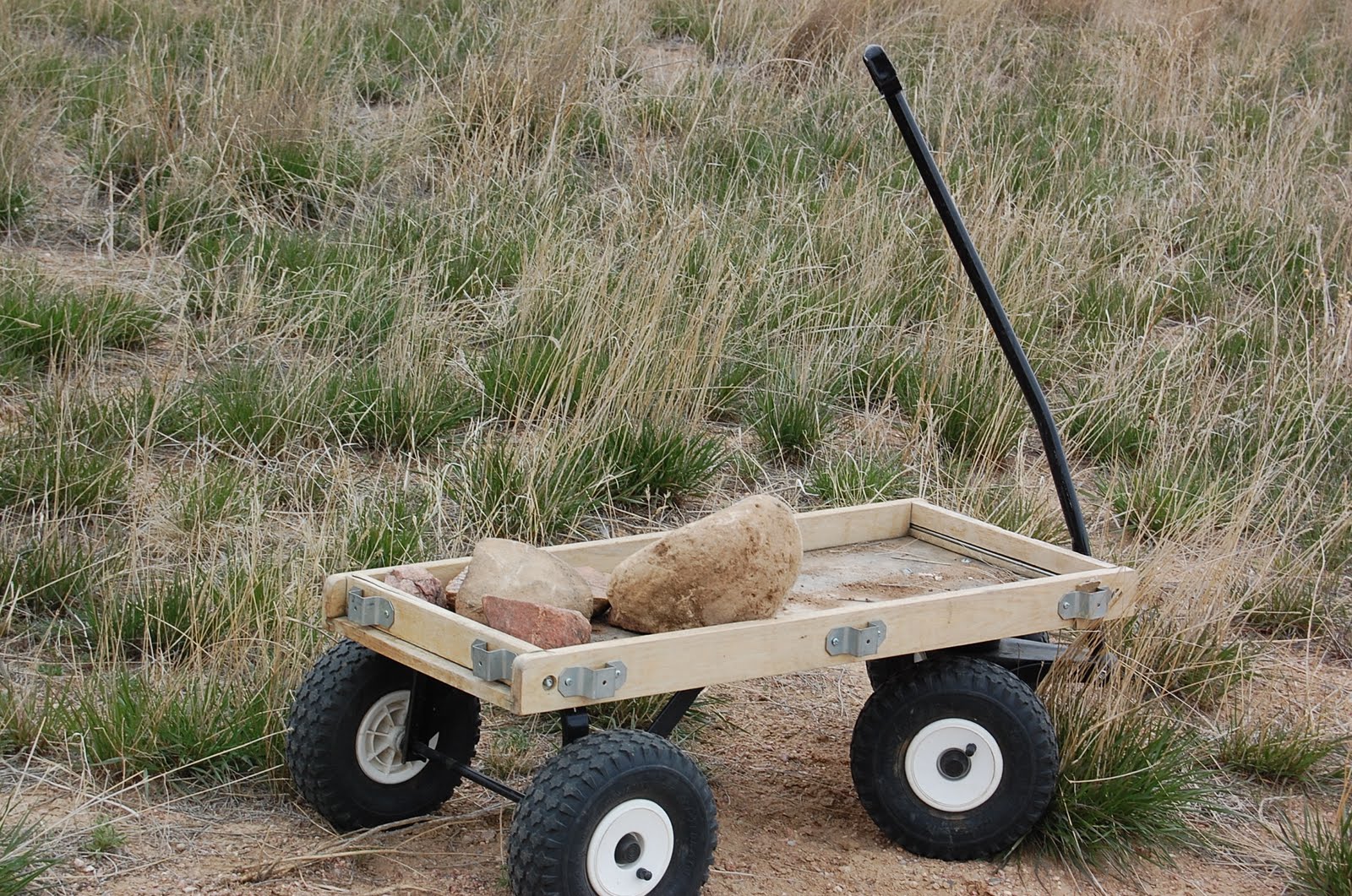 Morning Mist Chinchilla Ranch A Story about Rocks