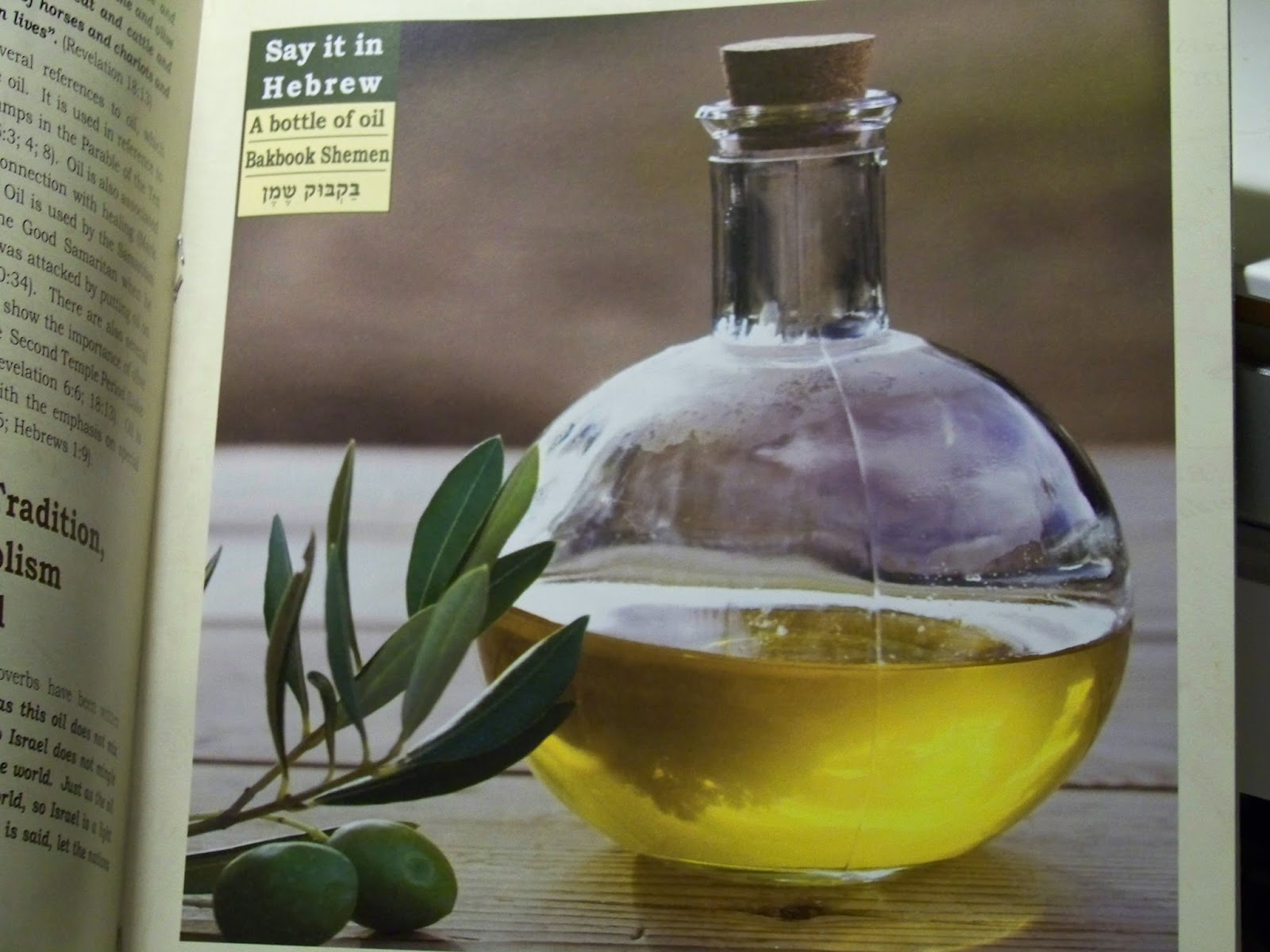 Tell Me A Story THE OLIVE TREE