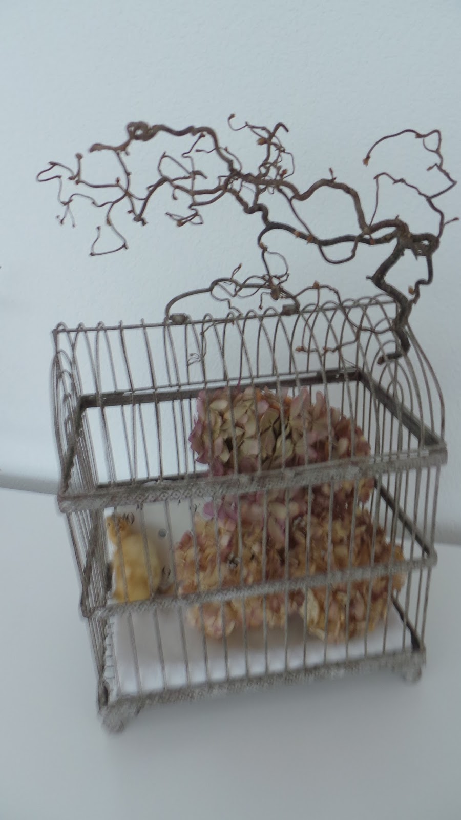 Shabby & romance