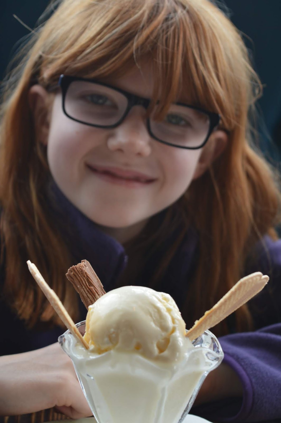 Sunday Lunch, Playgrounds & Birds of Prey at Walworth Castle, Darlington  - kids ice cream 