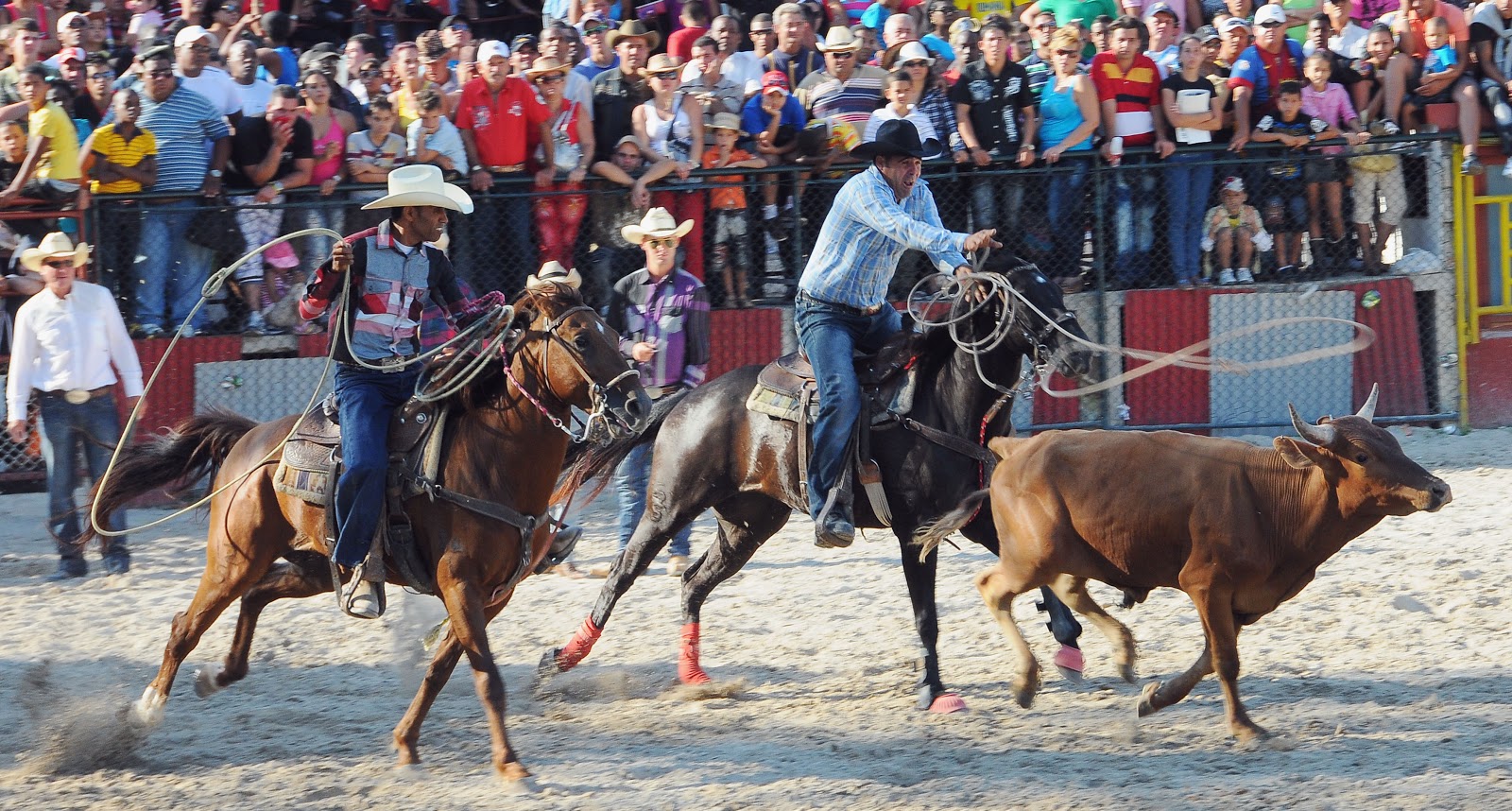 El ojo que te ve: EL RODEO CUBANO VIVE