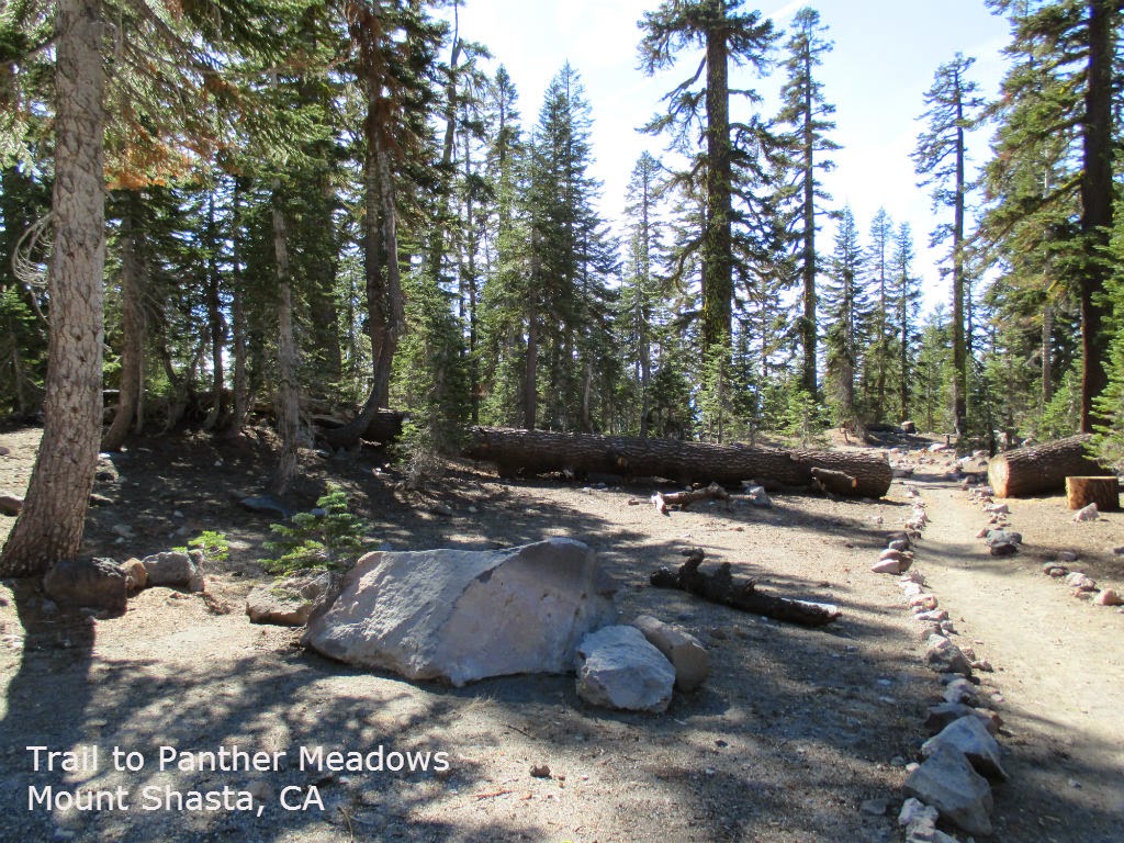 Photos of a Bicycle Ride DOWN Mount Shasta in CA - gvan42