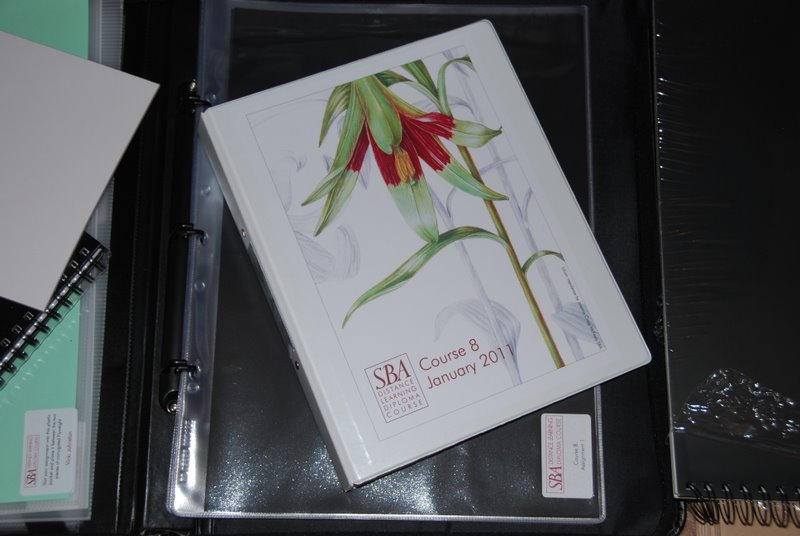 Vicki Lee Johnston Botanical Art Diploma Course The Society of