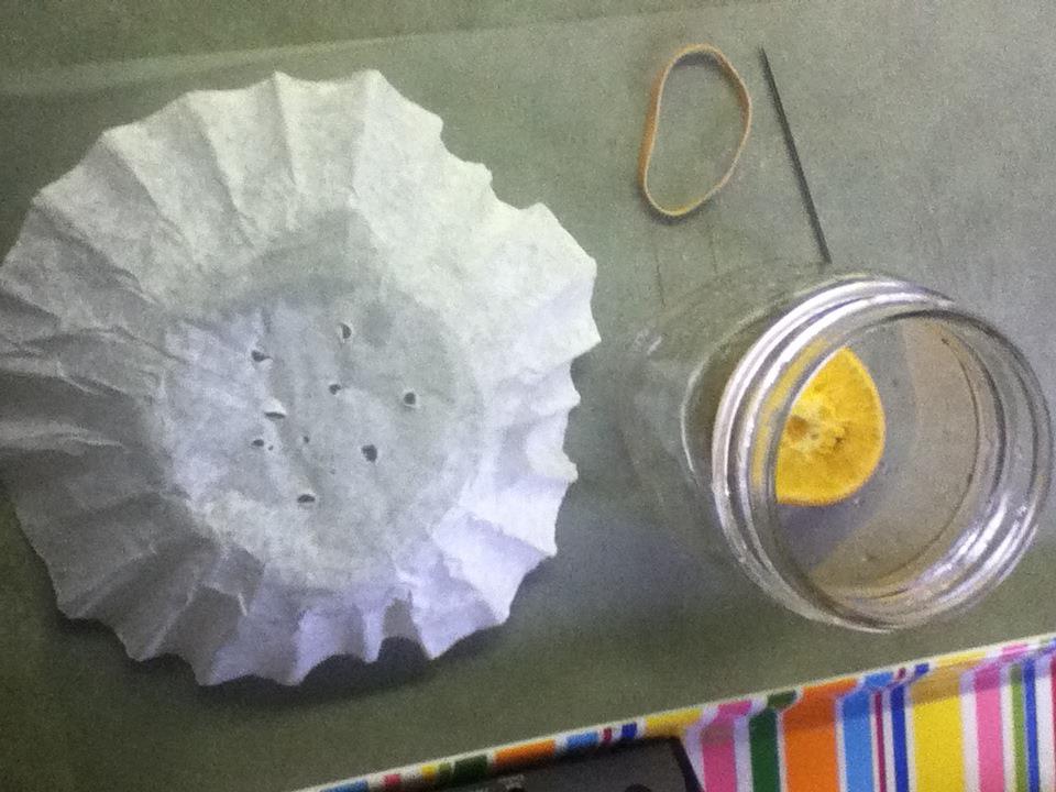 Krafting with Kathi Kraftyzales Fruit Fly Trap