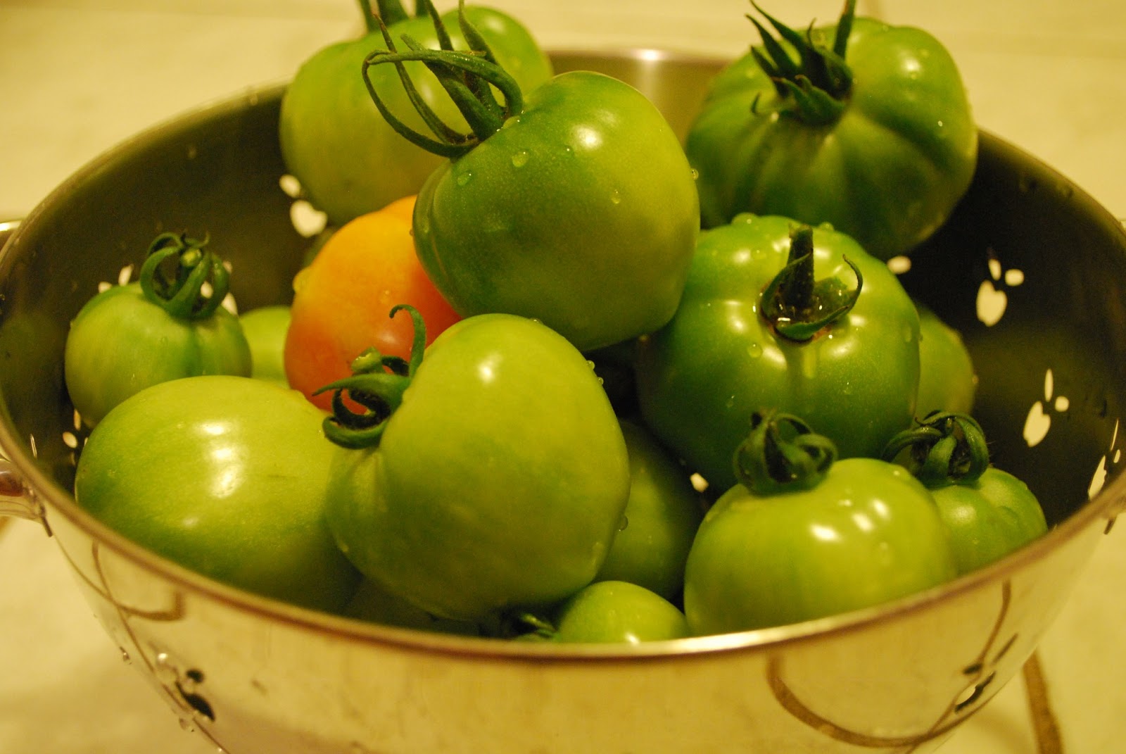 Рецепт вкусных простых зеленых помидор. Зеленые помидоры. Зеленые томаты. Помидоры домашние. Зеленые помидоры фото.